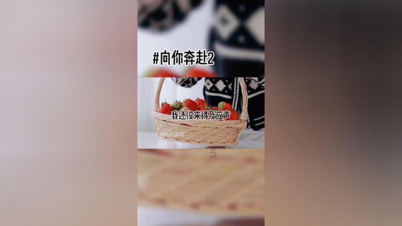涉及1023户家庭!2024年第一批保障房续租合同签订工作正在进行