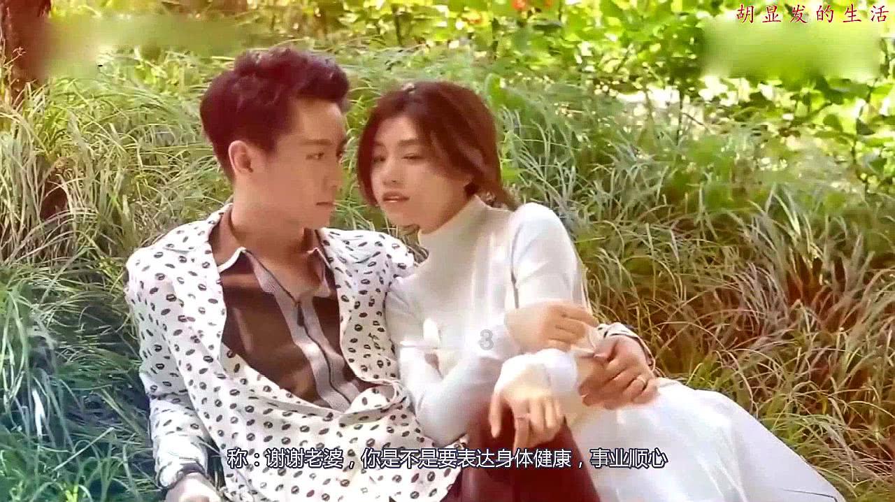 斩草除根，求解生肖游戏画面