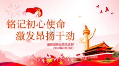 聚人气、汇商气 广元利州点燃“烟火气”