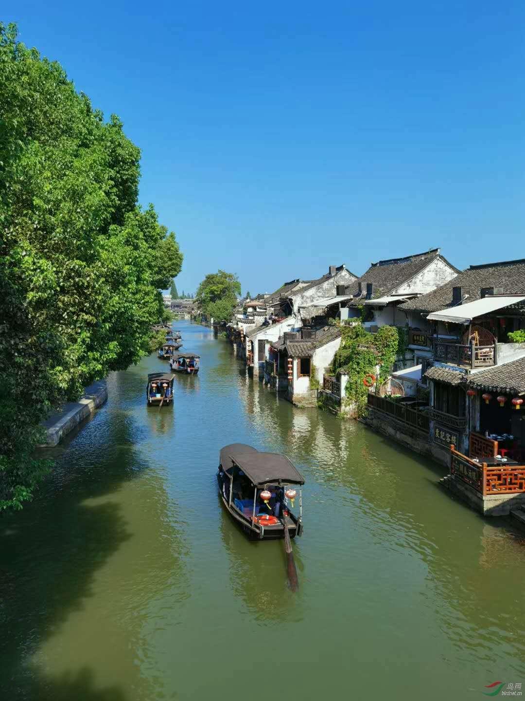 88影视