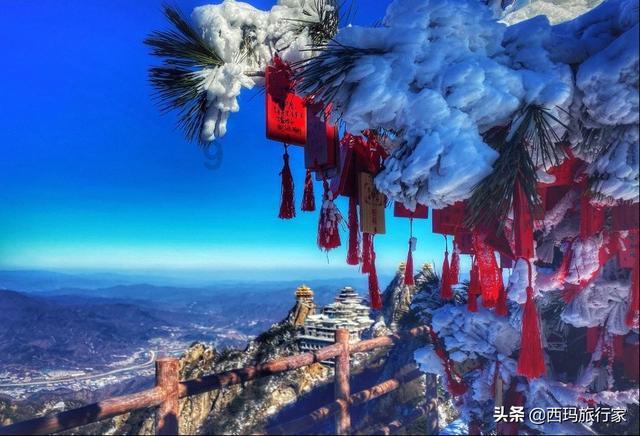 女儿上高中，可以恋爱了吗！游戏画面